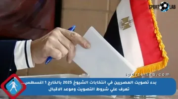 بدء تصويت المصريين في انتخابات الشيوخ 2025 بالخارج 1 أغسطس.. تعرف على شروط التصويت وموعد الإقبال